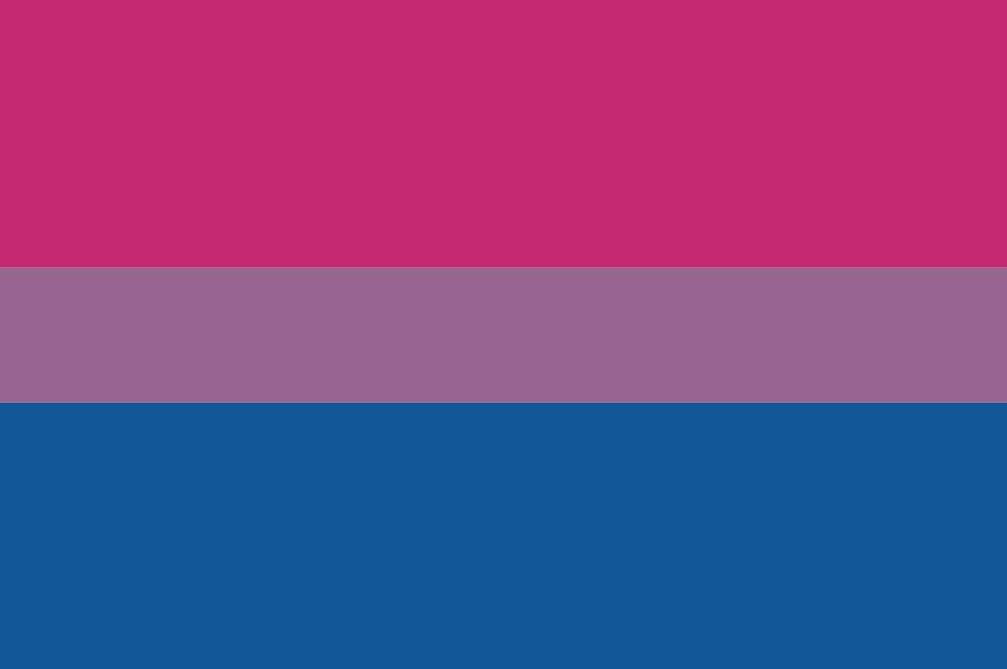 Vlag Biseksualiteit 70x100 cm
