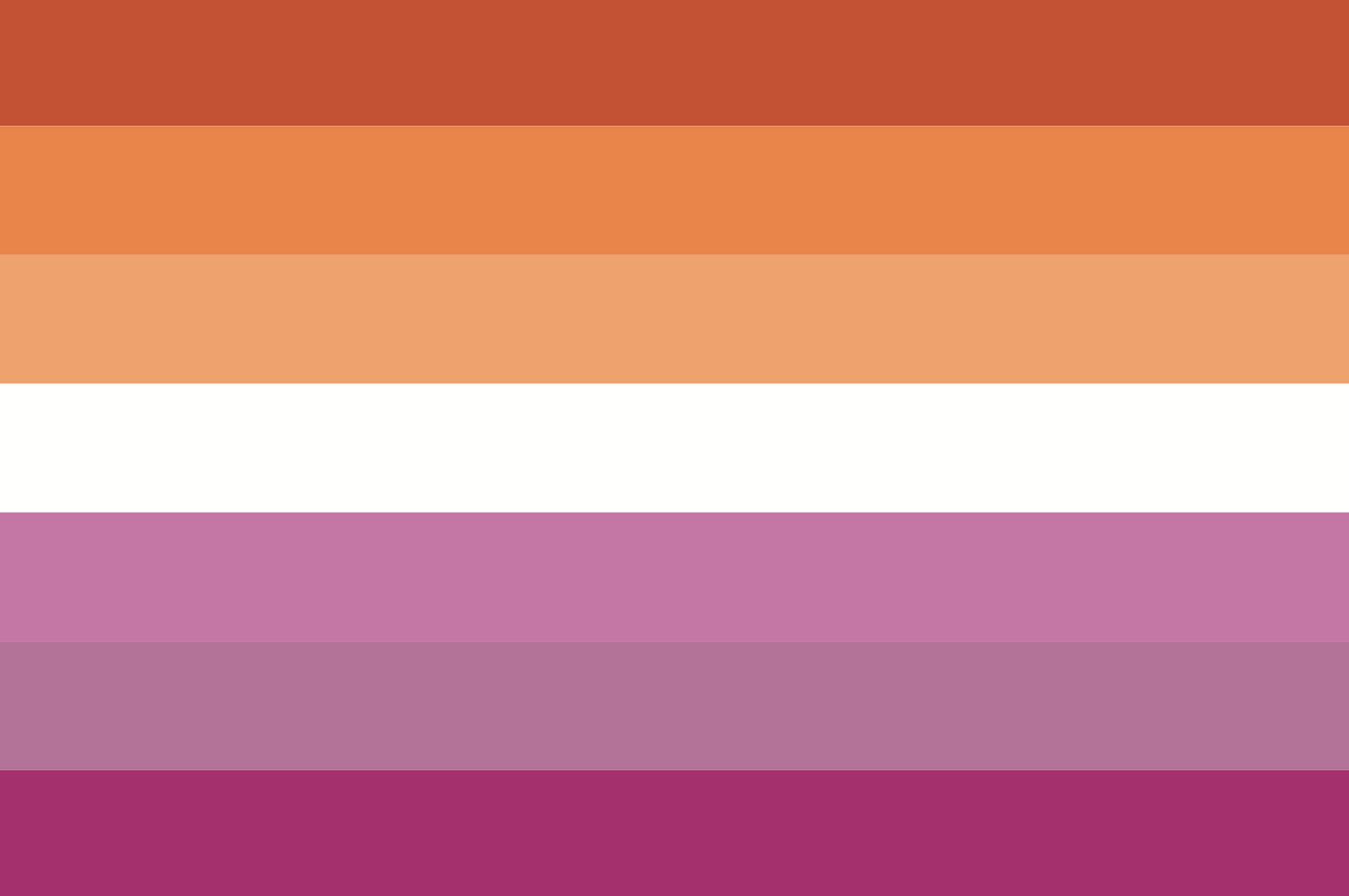 Vlag Lesbisch 70x100 cm