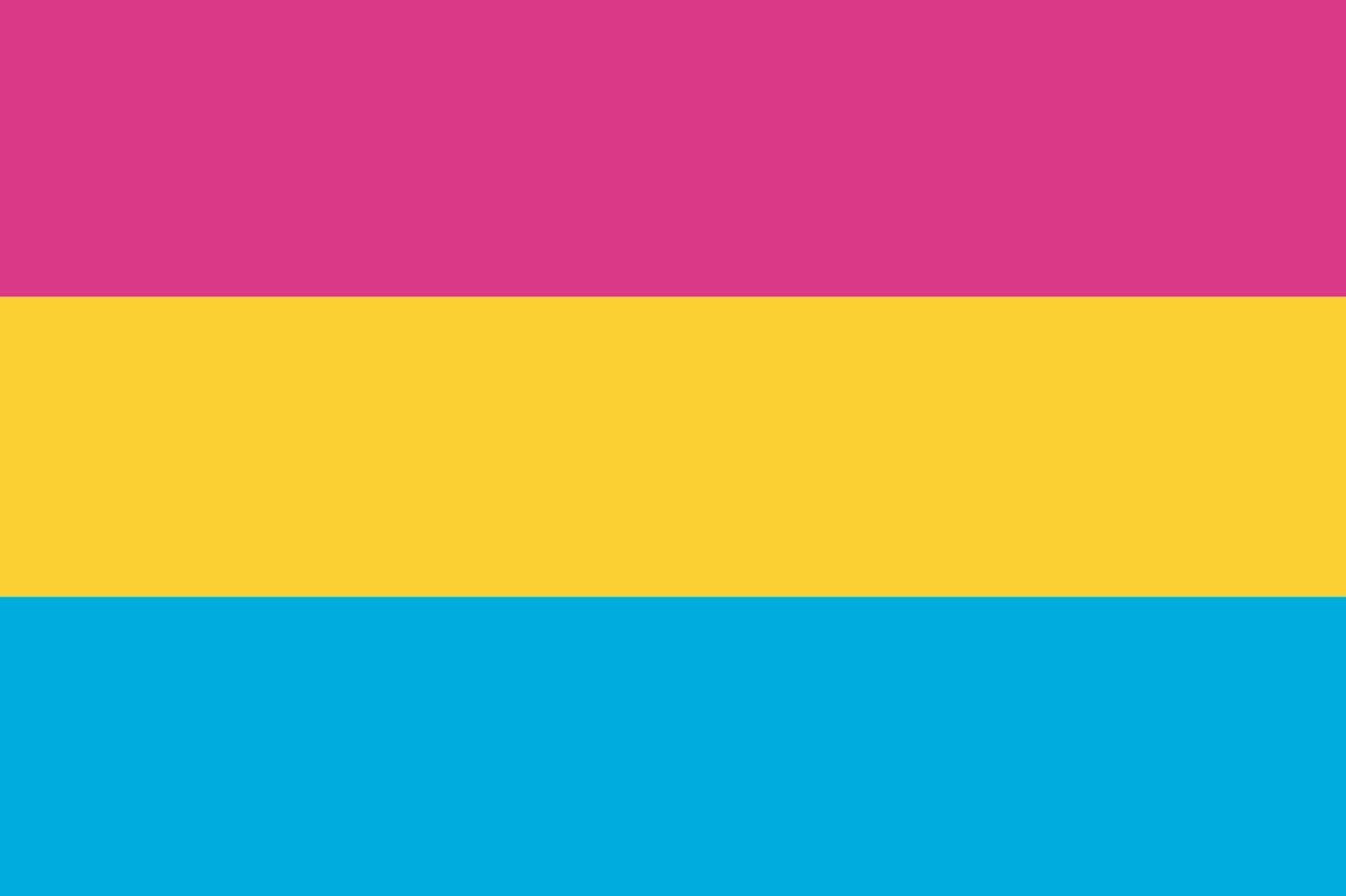 Vlag Panseksualiteit 70x100 cm