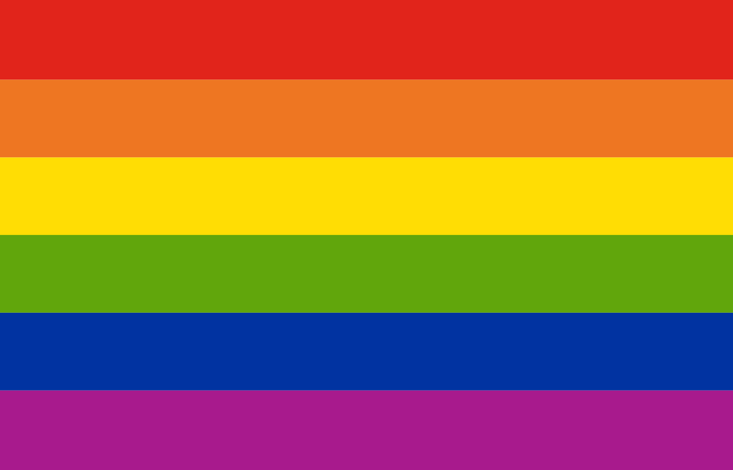 Vlag Regenboog 100x150 cm