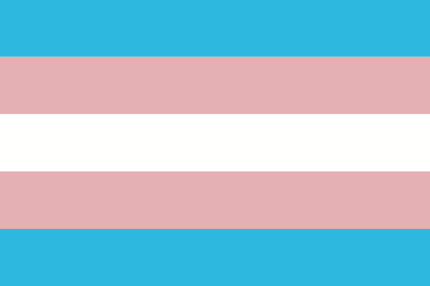 Vlag Transgender 70x100 cm