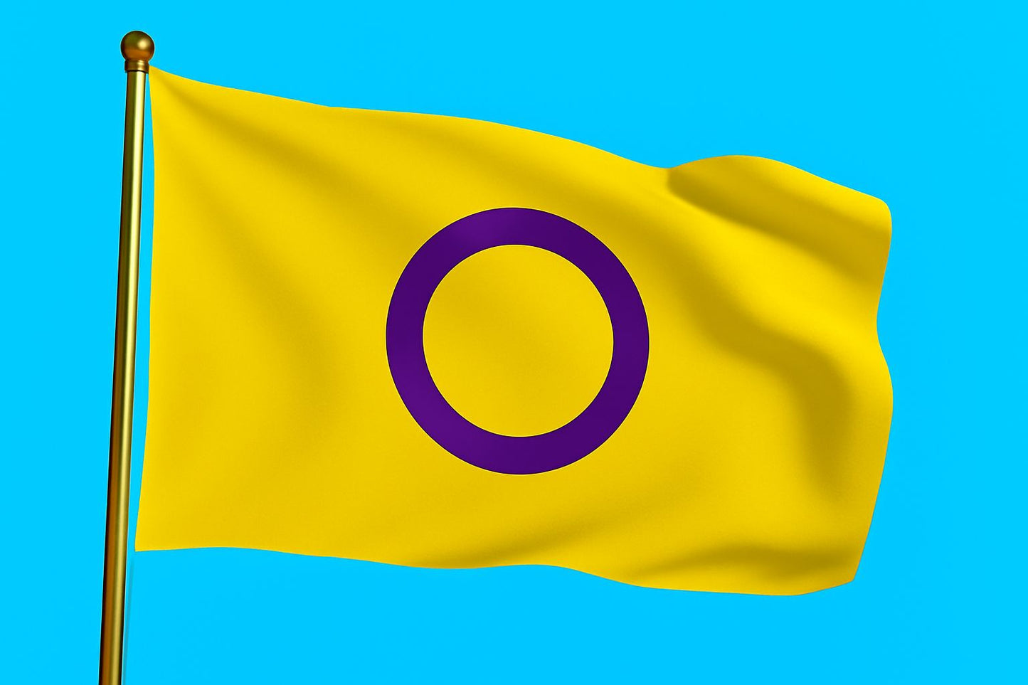 Vlag Intersekse 70x100 cm