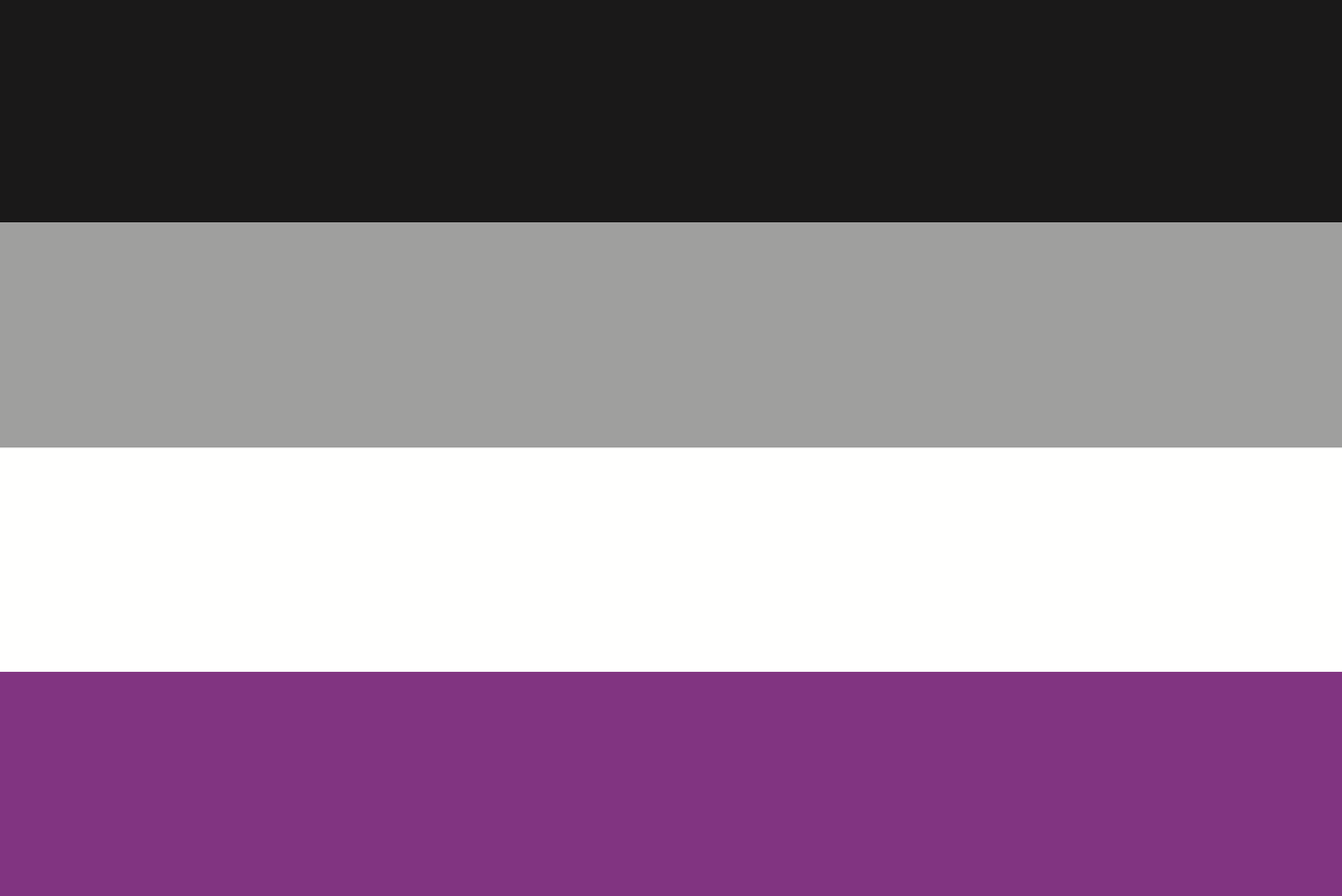 Vlag Aseksualiteit 200x300 cm