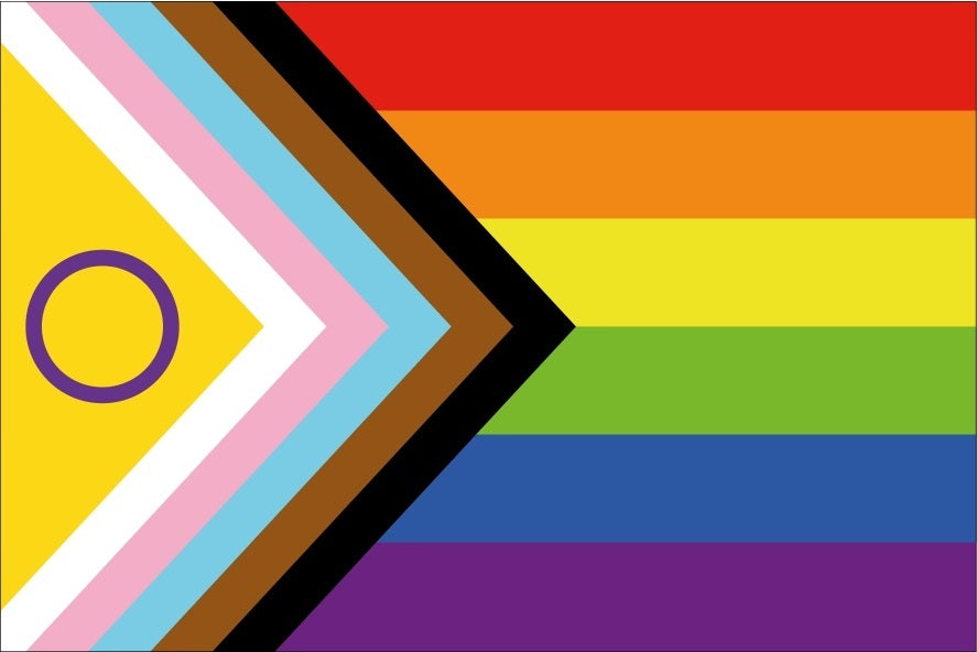 Vlag Intersekse Progress 70x100 cm