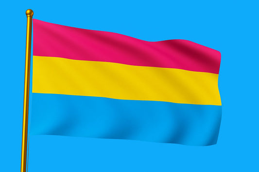 Vlag Panseksualiteit 200x300 cm