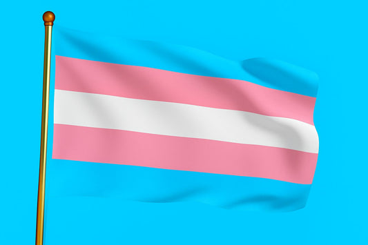 Vlag Transgender 200x300 cm