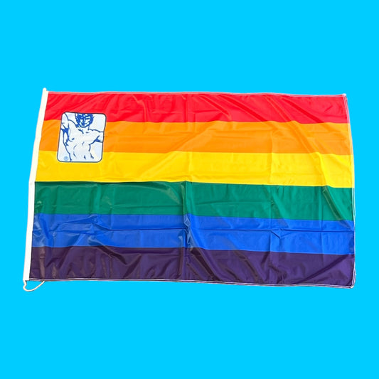 Vlag Regenboog met man 100x150 cm, uitverkoop