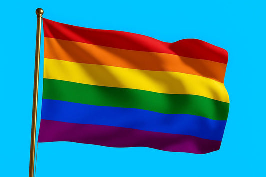 Vlag Regenboog 100x150 cm